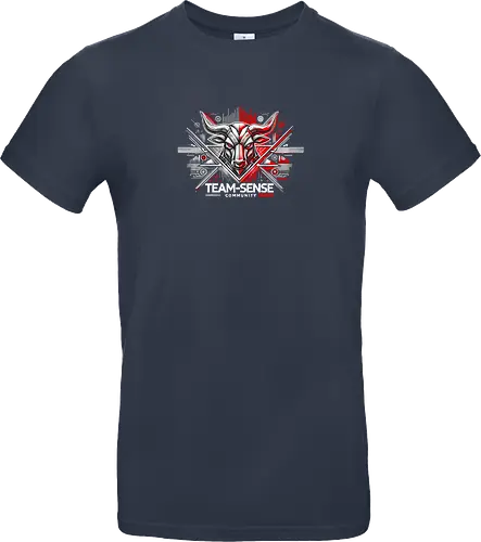 Team-Sense