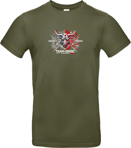 Team-Sense