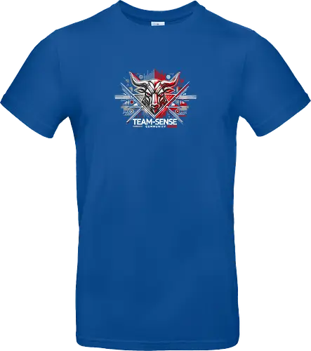 Team-Sense