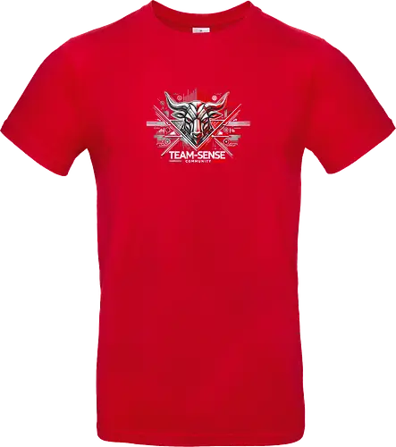 Team-Sense