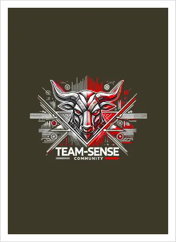 Team-Sense