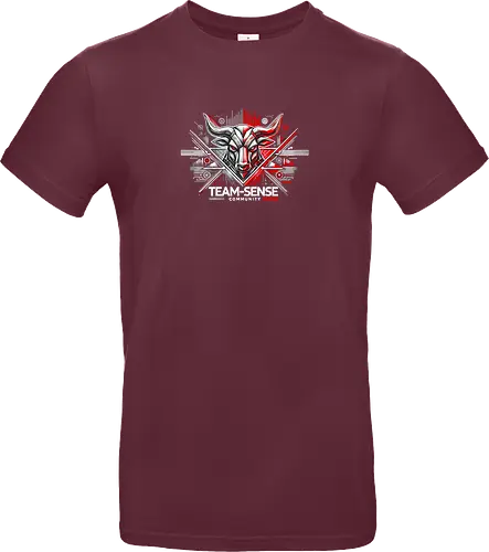 Team-Sense
