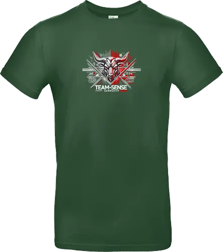 Team-Sense