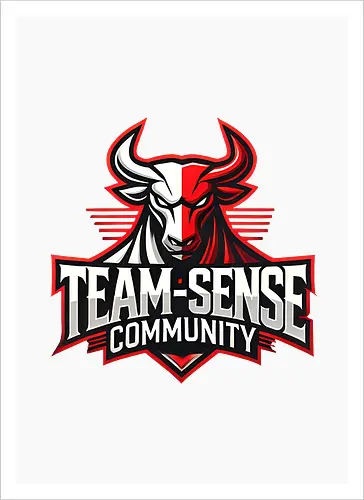 Team-Sense