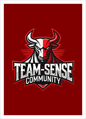 Team-Sense