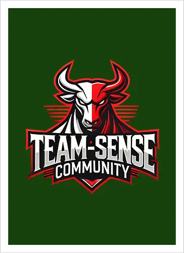 Team-Sense