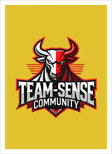 Team-Sense