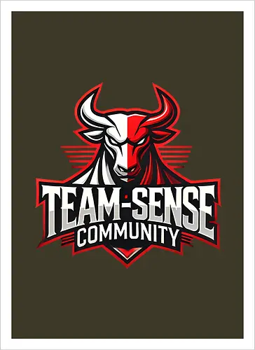 Team-Sense