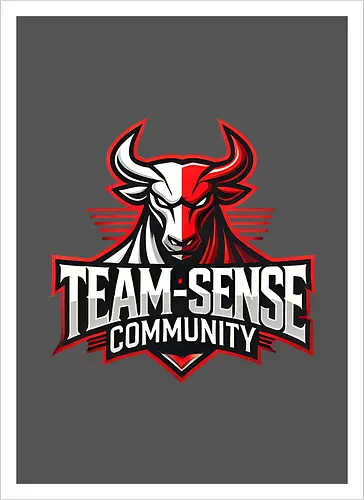 Team-Sense