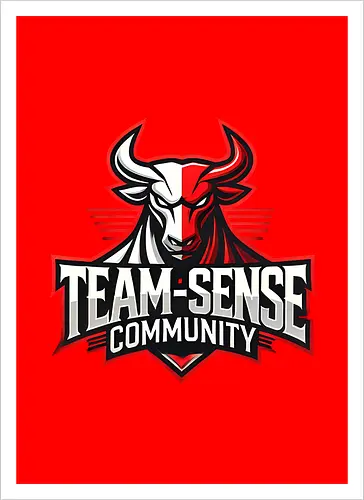 Team-Sense