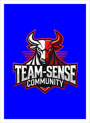 Team-Sense