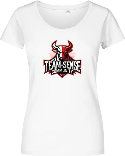 Team-Sense