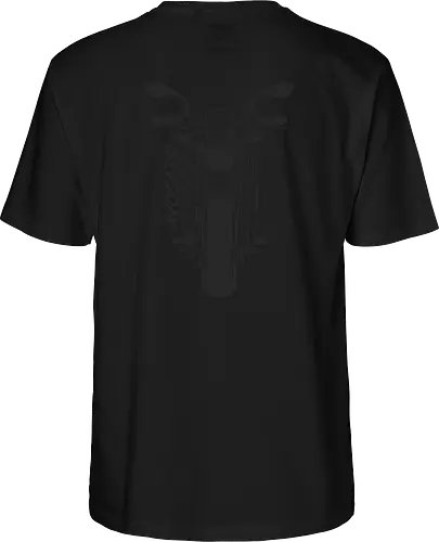 Kawasaki Z650, 2018,  schwarz