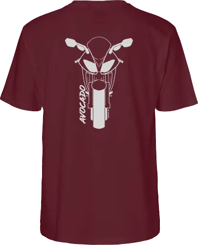 Kawasaki ZX10R, 2007,  weiß