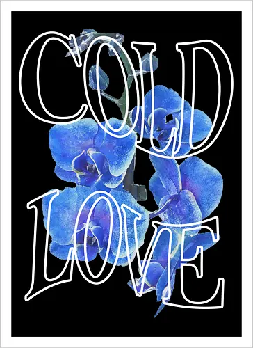 ColdLove