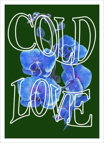 ColdLove