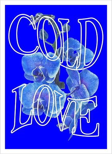 ColdLove