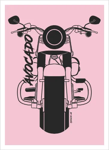 Harley Davidson Fat Boy Luca Schwarz