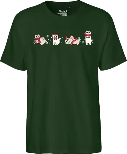 Tabby & Bailey – Catmas