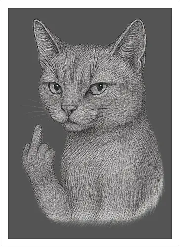 MiddleFingerCat