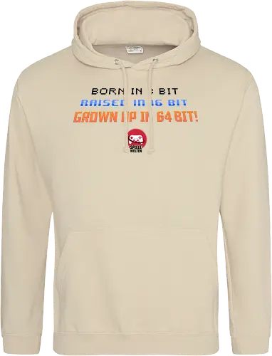 Spielewelten - Born in 8 Bit