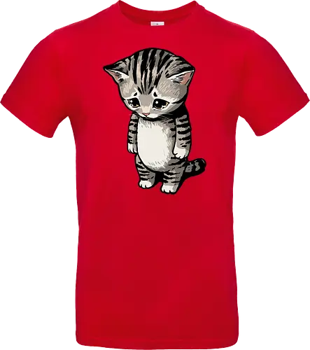 Sad Cat Meme